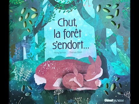 Chut, la forêt s'endort... - Livre audio - Histoire du soir pour enfants pour s'endormir