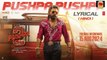 PUSHPA PUSHPA (Lyrical)-Pushpa 2 The Rule | Allu Arjun |Sukumar |Rashmika |Mika,Naksh |Fahadh F |DSP