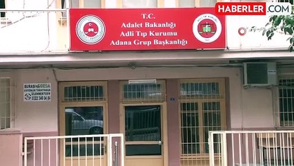 Adana'da başıboş köpeklerin saldırdığı yaşlı kadın hayatını kaybetti