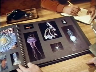 Visions of the Deep: The Underwater World of Al Giddings | Full Documentary | NOVA | PBS