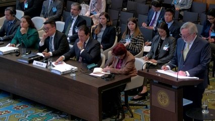 Invasión a embajada mexicana ocurrió en circunstancias "excepcionales", dice Ecuador ante CIJ
