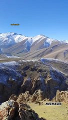 Artos Dağında Koyun Otlatma Serüveni