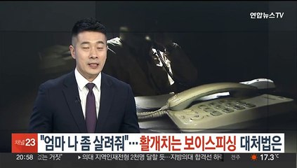 "엄마 나 좀 살려줘" 활개치는 보이스피싱…피해 막으려면