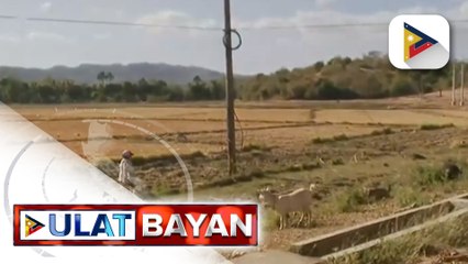 Pinsala ng El Niño, umabot na sa halos P6-B