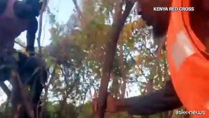 Alluvioni Kenya, salvato dalla Croce Rossa dopo 5 giorni su un albero