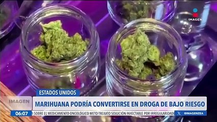 La marihuana podría convertirse en una droga de bajo riesgo en EE.UU.