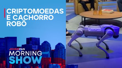 INTELIGÊNCIA ARTIFICIAL e TECNOLOGIAS usadas na SEGURANÇA