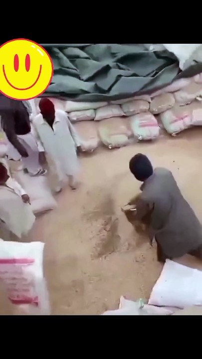 Sindh Wheat  mixture