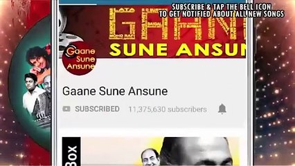 Krishna Krishna / Tan-Badan 1986 / Udit Narayan, Govinda