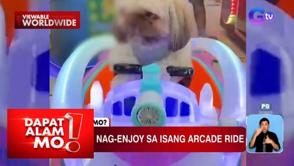 Aso, nag-enjoy sa isang arcade ride | Dapat Alam Mo!