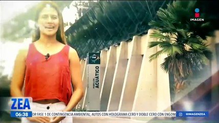 "Guardianes" previene del abuso infantil en México