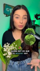 Abonne toi pour + de decryptages climat et environnement !
