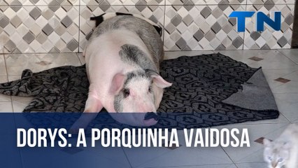 Dorys: a porquinha vaidosa