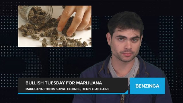 Bullish Tuesday For Marijuana Stocks - Elixinol Wellness, Item 9 Labs Among Top Gainers