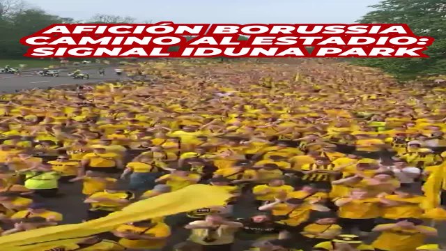 Impacta: la afición del BVB llega al estadio así un día de Champions