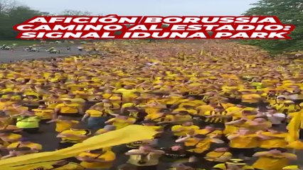 Impacta: la afición del BVB llega al estadio así un día de Champions