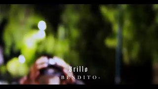 Brillo - KF$ (Visualizer)