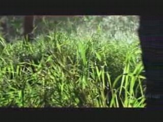 Promo forum lost saison 4 et 5