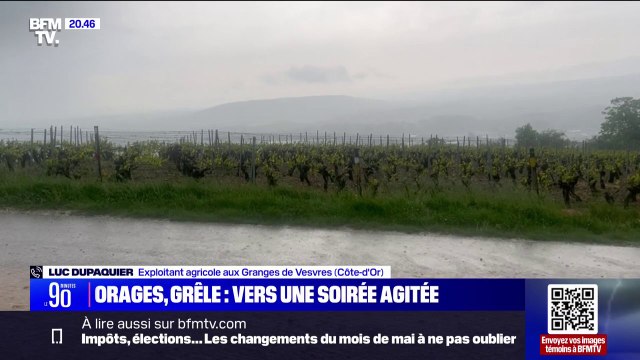 Les céréales sont très impactées : Le témoignage d'un exploitant agricole en Côte-d'Or dont l'exploitation a été touchée par un orage de grêle