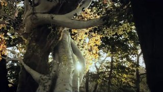 Tolkien Bande-annonce (IT)