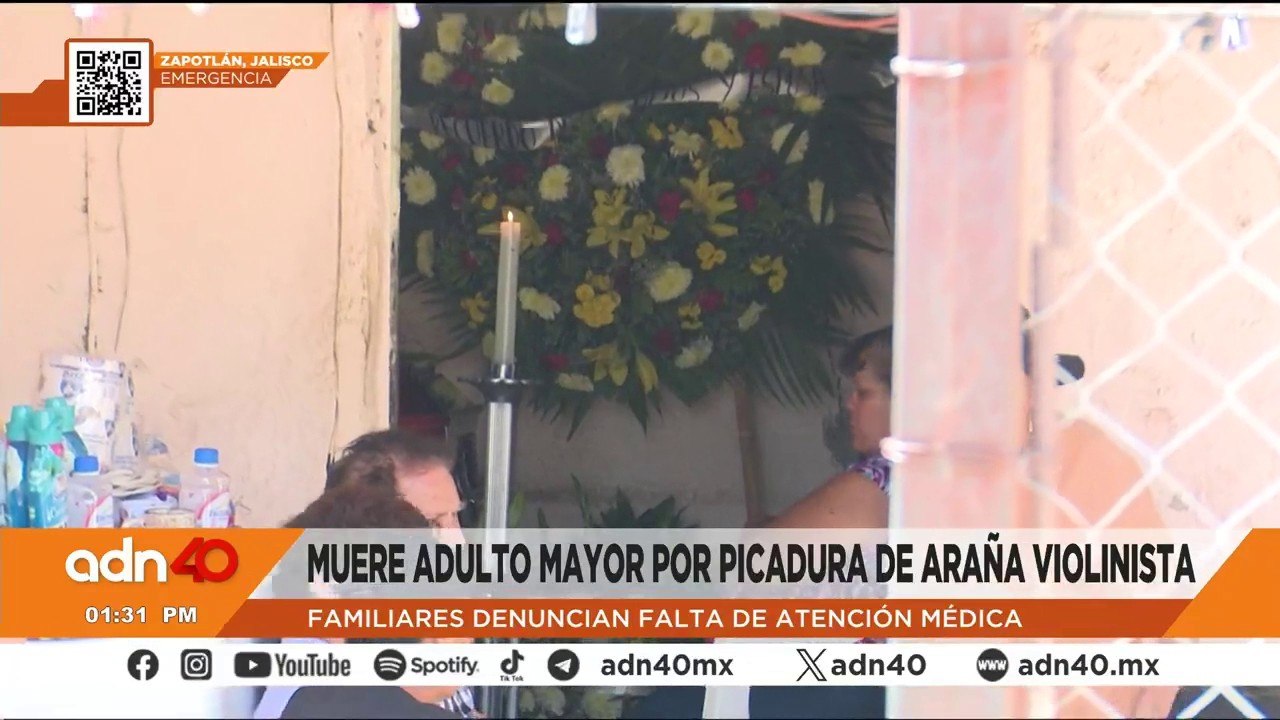 Muere adulto mayor por picadura de araña violinista, su familia acusa negligencia