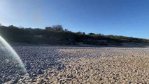 Surfers Against Sewage has once again issued warnings over storm sewage discharges affecting beaches across Pembrokeshire.