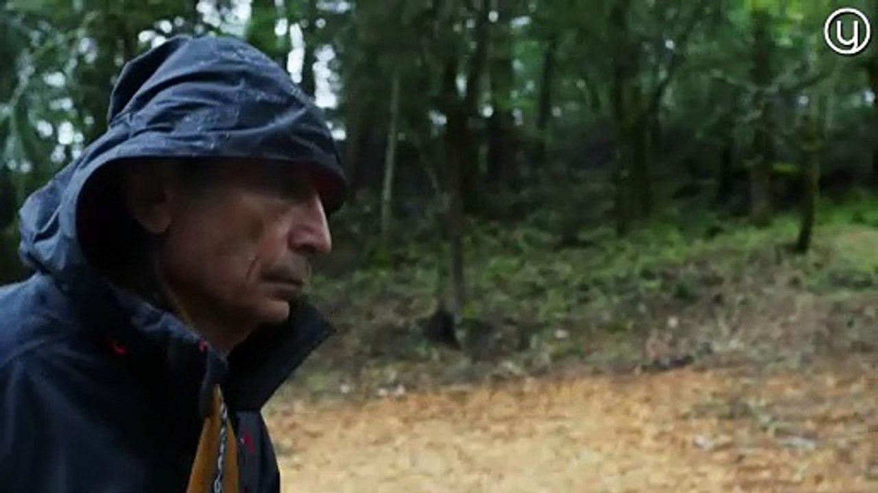 A Sabedoria Do Trauma