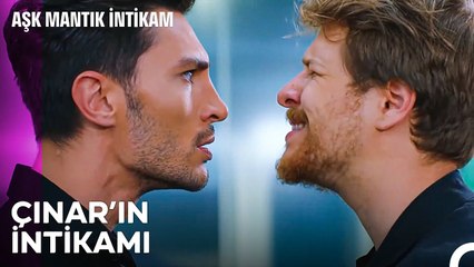 Şirkette Çınar Dönemi Başlasın - Aşk Mantık İntikam