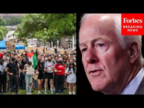 'A Breeding Ground For Antisemitism': John Cornyn Blasts Pro-Palestinian Protests At Universities