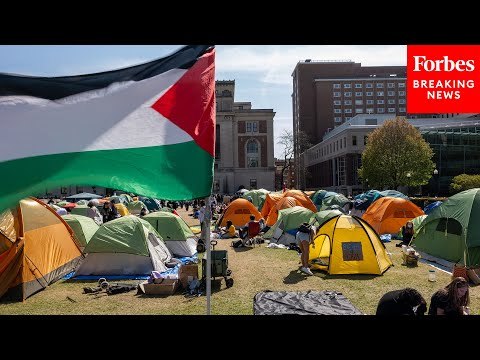 'There's Definitely Been A Storm Since Oct 7th': Maryland Hillel Director Reacts To College Protests
