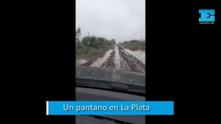 Un pantano en La Plata