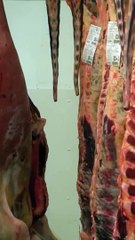 Les plus beaux morceaux vont en boucherie