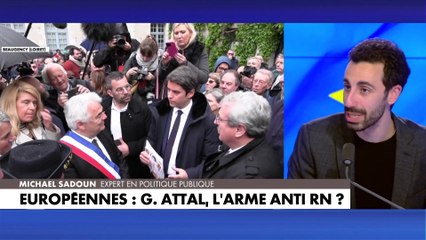 Michaël Sadoun : «Une sortie de l'Europe serait, globalement, catastrophique dans l'état actuel des choses»