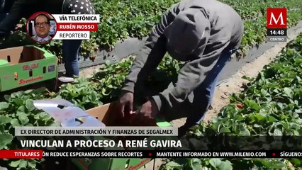 Vinculan a proceso a exfuncionario de Segalmex por delincuencia organizada y peculado