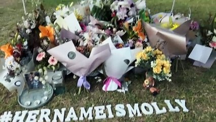Domestic violence advocates and legal experts back change to NSW bail laws to protect lives after Molly Ticehurst’s alleged murder