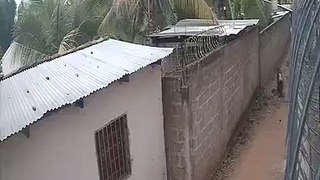 Delincuente asalta a abuelito en un callejón en Danlí