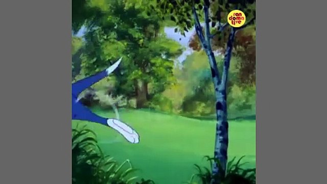 Tom And Jerry on Picnic | Tom & Jerry | Cartoons For Kids | Cartoon For Babies |