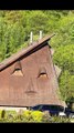 Faces Appeared on the House Elevations #pareidolia #house  #houseelevation