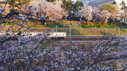 Come Back Anytime Bande-annonce (EN)