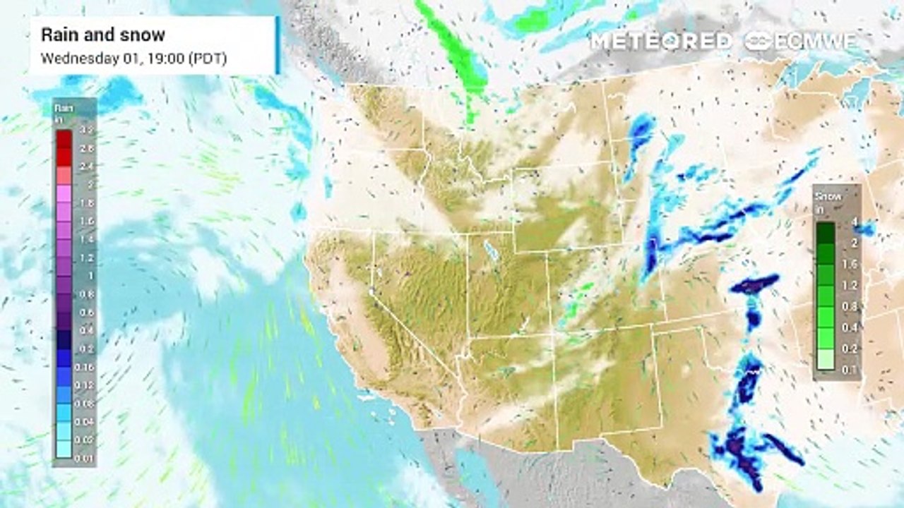 Western US rains