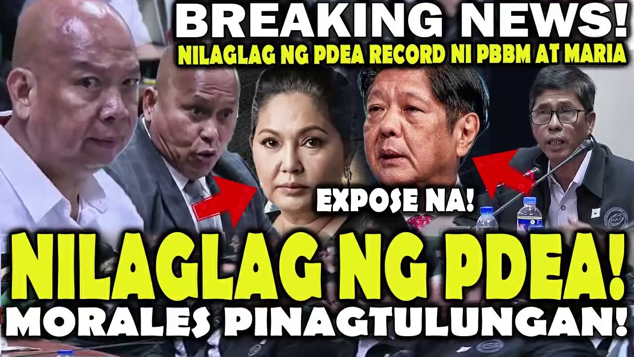 Expose Na!NILAGLAG ng PDEA Record ni PBBM at Maria Pinanindigan ni Morales Kinawawa Pinagtulungan sa Senado