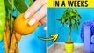 Gardening Hacks: Useful Tips and Tricks for Plant Lovers