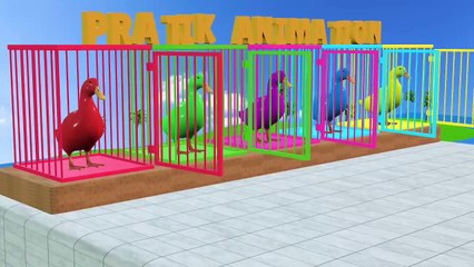 Duck, monkey, piglet, dog, chicken, lion, cow, sheep. Funny animal
