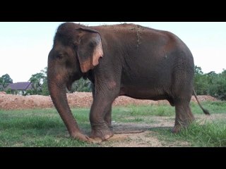 កម្មវិធី មោទនភាពកម្ពុជា ឬ Pride of Cambodia