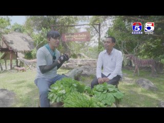 កម្មវិធី Solo Trip ដំណើរកំសាន្តសប្បាយៗហើយចាយលុយតិច