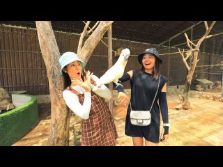 កម្មវិធី សុបិន ​ឬ The Dream Come True