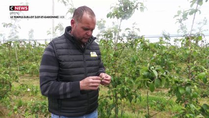 Colère des agriculteurs : Emmanuel Macron reçoit les syndicats du secteur ce jeudi, sous fond de sentiment d’abandon