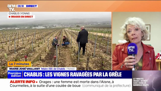 7 MINUTES POUR COMPRENDRE - Les vignes ravagées par la grêle