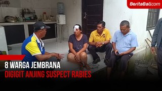 8 Warga Jembrana Digigit Anjing Suspect Rabies