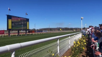 Wagga Town Plate Day: Exciting Race 3 Highlights 🏇
